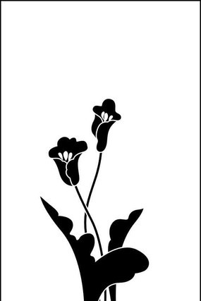 �ٺ�Ե���ͼ�� CDR