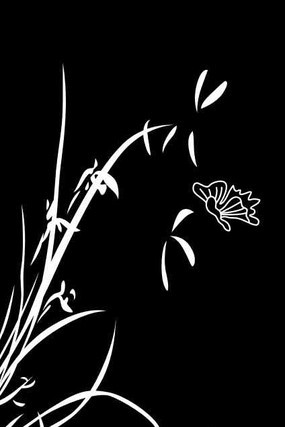 �������ͼ�� CDR