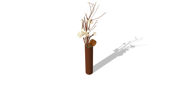 ����������֦