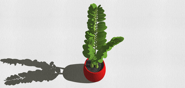 ����ֲ��ģ�� skp