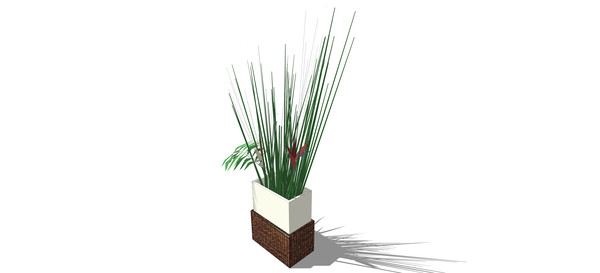 直愣愣的植物3d模型