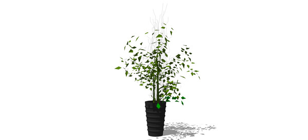 ֦��Ҷï3dģ�� skp