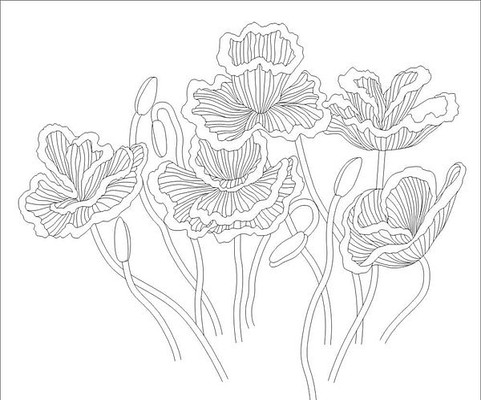 �����ƻ���ͼ��