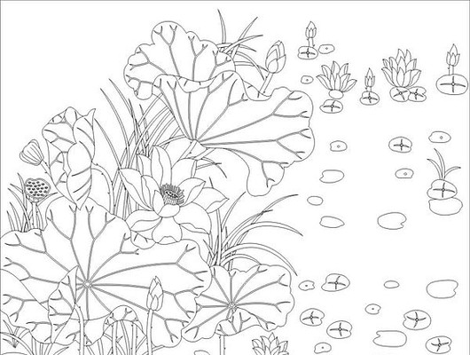 ӽ�ɵ��ͼ��