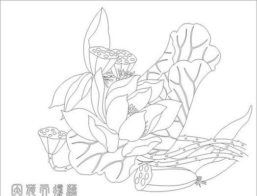 荷花雕刻图案 荷花雕刻图案