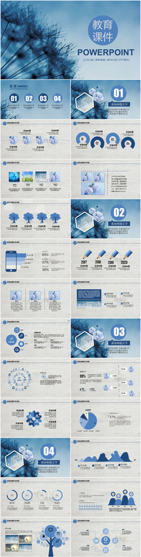 ������ѵ������˵��PPTģ��