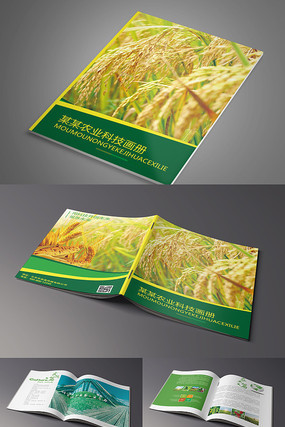 �Ƽ�������