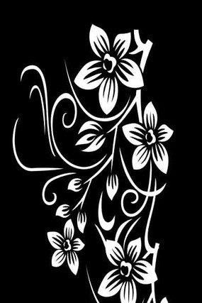 �������ͼ�� CDR