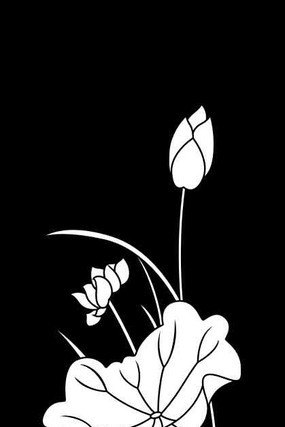 �ɻ�����ͼ�� CDR