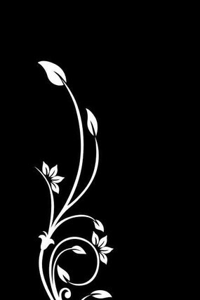 �������ͼ�� CDR