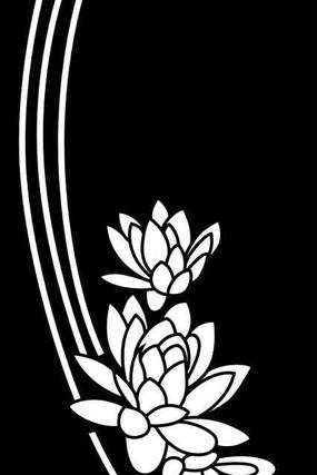 �������ͼ�� CDR