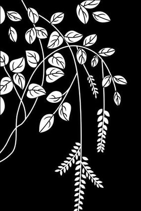 ������ͼ�� CDR