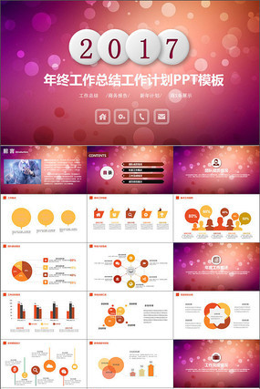 2017Ψչ㱨PPT
