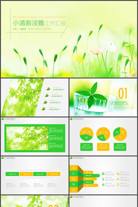 ��ɫС���¼�Լ�����ܽ�PPT