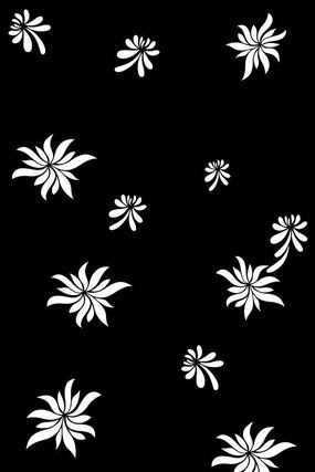 ���������ͼ�� CDR