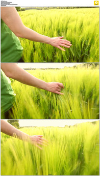 СŮ