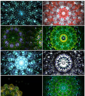 �½�����