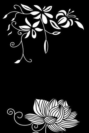 ����������ͼ�� CDR