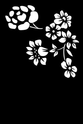 ܿ�����ͼ�� CDR