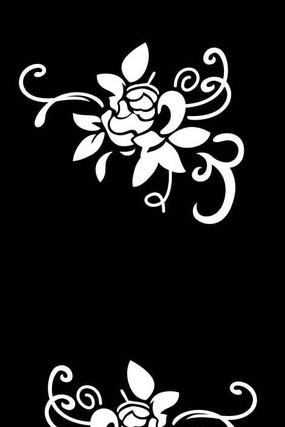 õ�廨���ͼ�� CDR