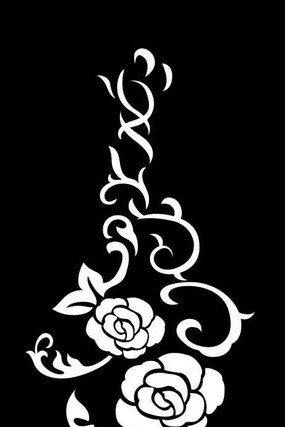 õ��������ͼ�� CDR