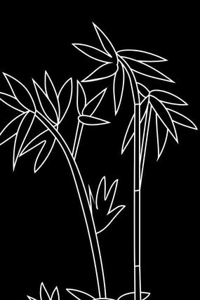 ӽ����ͼ�� CDR