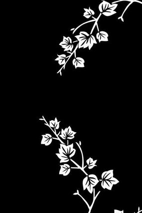 ֦Ҷ���ͼ�� CDR