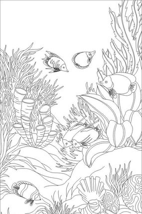 ����������ͼ��