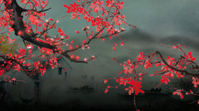 ����÷����̬��Ƶ