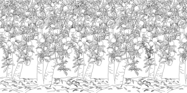 �������ͼ��