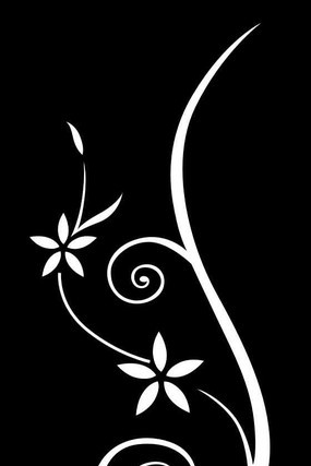 ���󻨿����ͼ�� CDR