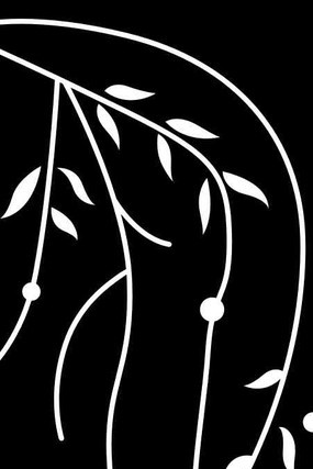 ��֦���ͼ�� CDR