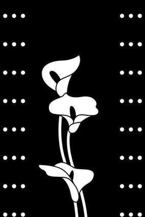 ���������ͼ�� CDR