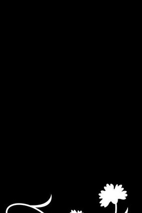 ��ʽ�����ͼ�� CDR