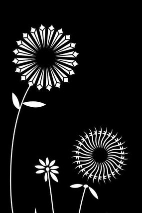 �ѹ�Ӣ���ͼ�� CDR