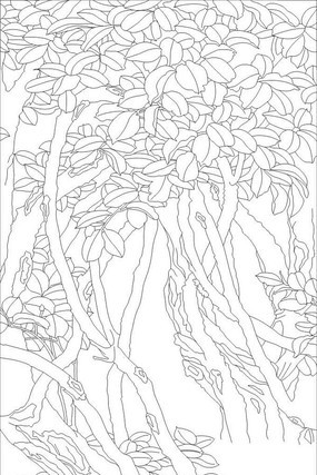 ���ֵ��ͼ��