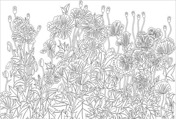 �����˵��ͼ��