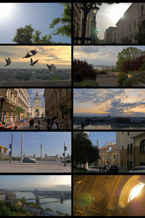 �������������羰��Ƶ