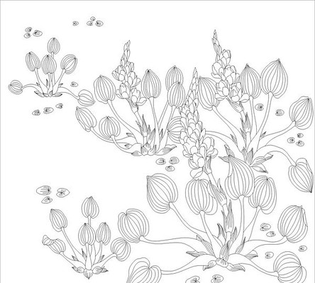 �������ͼ��