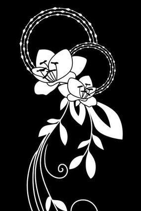 �������ͼ�� CDR