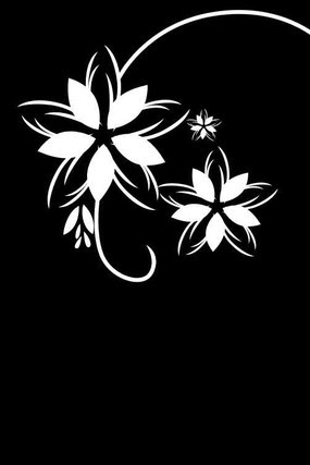 �򻨵��ͼ�� CDR