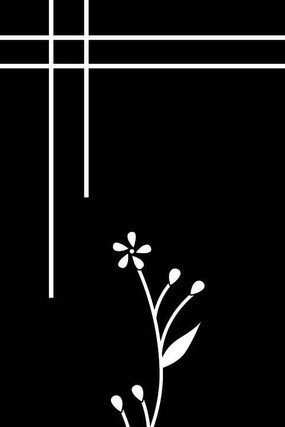 ������ͼ�� CDR