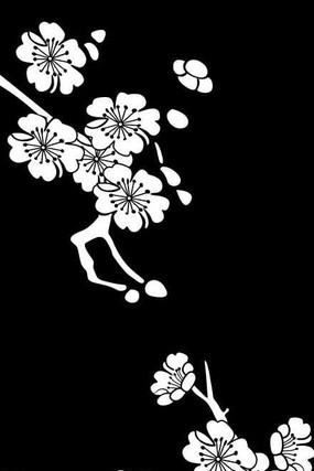 ÷�������ͼ�� CDR