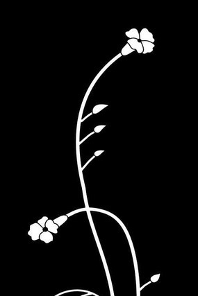 �������ͼ�� CDR