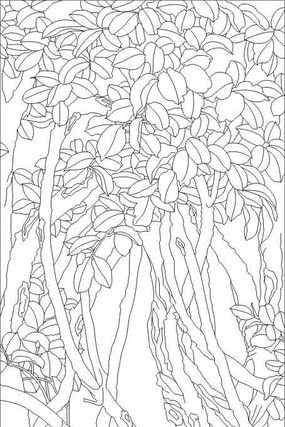 ��ľ�䴺���ͼ��