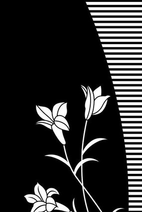 �ٺϻ����ͼ�� CDR