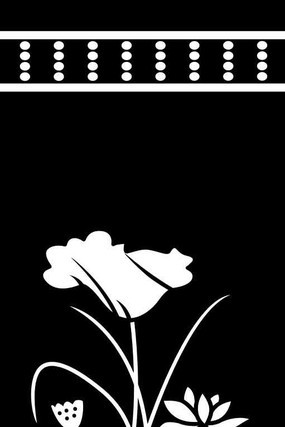 �ɻ����ͼ�� CDR