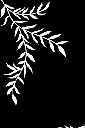 ֦Ҷ���ͼ�� CDR