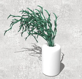 �ݱ�����ֲ��SU