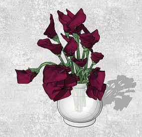 ���»���SU